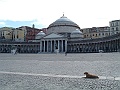 DSCF1284