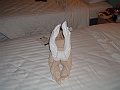 DSCF1353