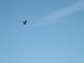 DSCF1369
