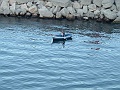 DSCF1372