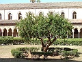 DSCF1449