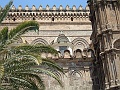 DSCF1549