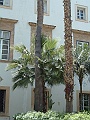 DSCF1553