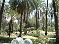 DSCF1566