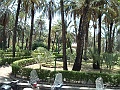 DSCF1567