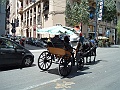 DSCF1616