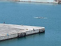 DSCF1642