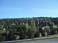 DSCF1769