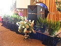 DSCF7081