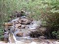 DSCF2168