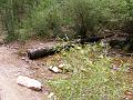 DSCF2169