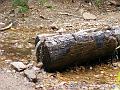 DSCF2170