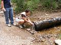 DSCF2173