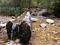 DSCF2178