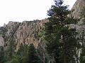 DSCF2184