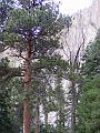 DSCF2186