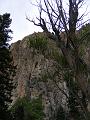 DSCF2190