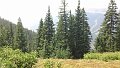 DSC00296