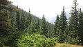 DSC00297