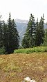 DSC00298