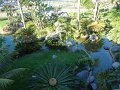 DSC00709