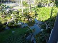 DSC00710