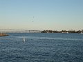 DSC00715