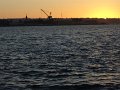 DSC00720