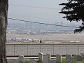 DSC00730