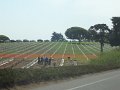 DSC00731