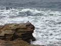 DSC00733