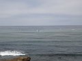 DSC00737