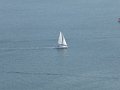 DSC00745