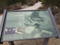 DSC00747