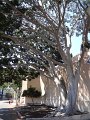 DSC00857