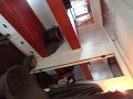 DSC00934