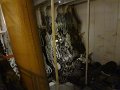 DSC00941
