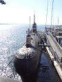 DSC00951