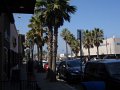 DSC01009