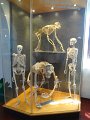 DSC01036