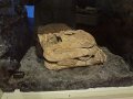 DSC01039