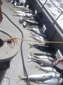 DSC01058
