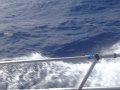 DSC01059