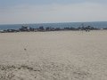 DSC01088