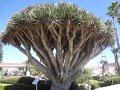 DSC01093