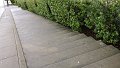 DSC00350
