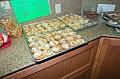 ZAna568img_1920