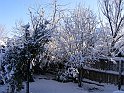 Here are some pictures of the snow we got today. March 4th, 2008