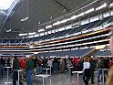 DSCF6009