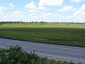 DSCF8866